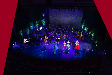 Teatro Colsubsidio Ubicación de palcos